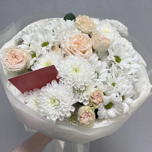 review-photo-before