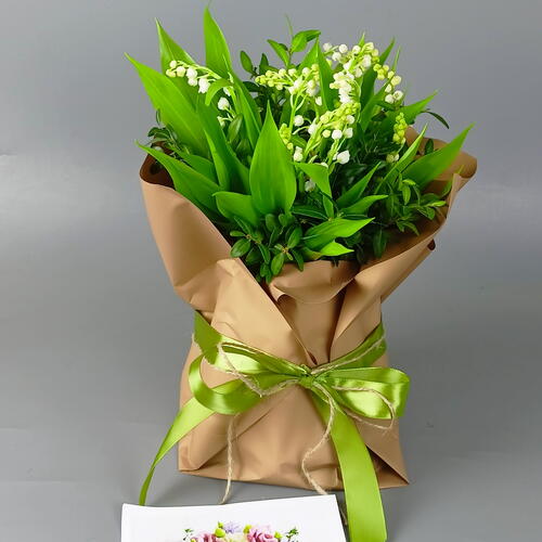 review-photo-before