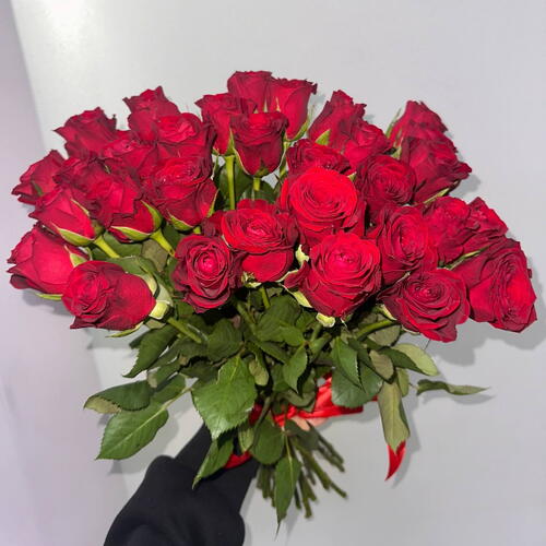 review-photo-before