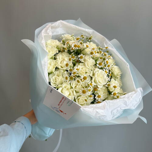 review-photo-before