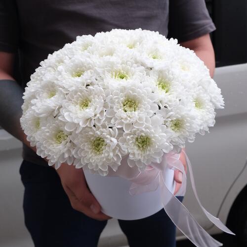 review-photo-before