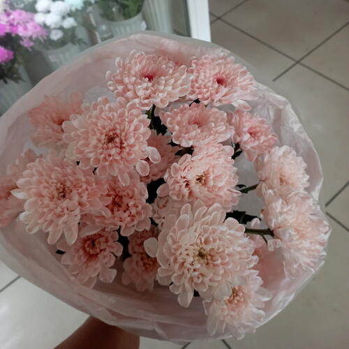 review-photo-before
