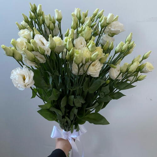 review-photo-before