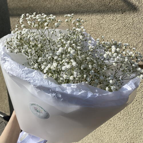 review-photo-before