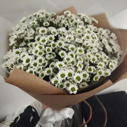 review-photo-before