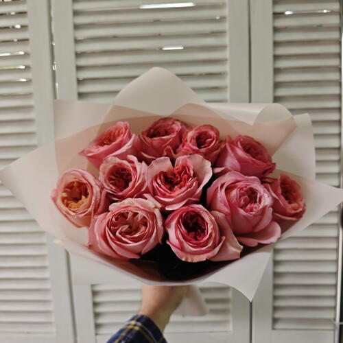 review-photo-before