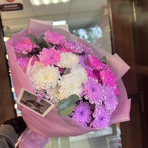 review-photo-before