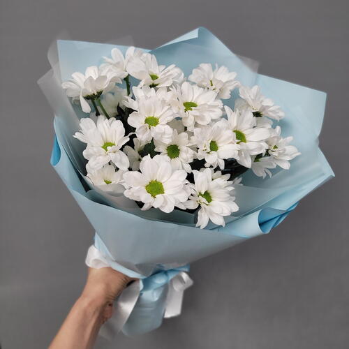 review-photo-before