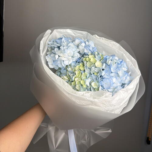review-photo-before