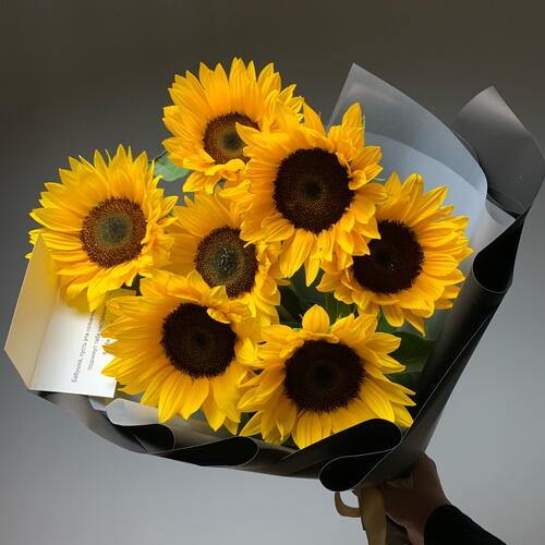 review-photo-before
