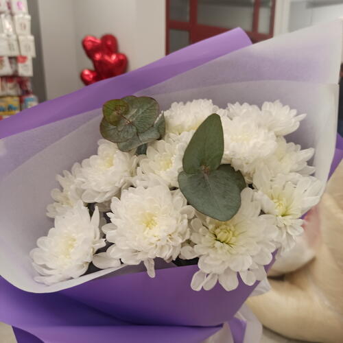 review-photo-before