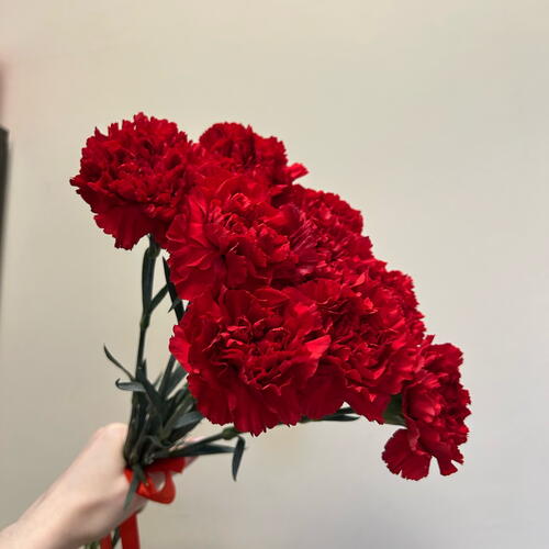 review-photo-before