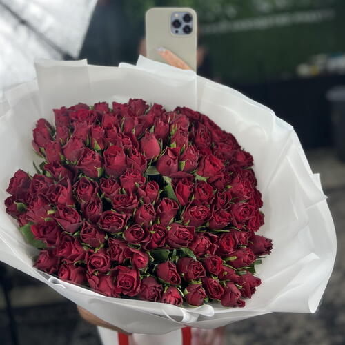 review-photo-before