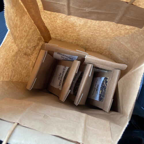 review-photo-before