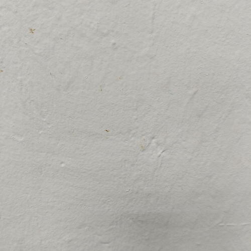 review-photo-before