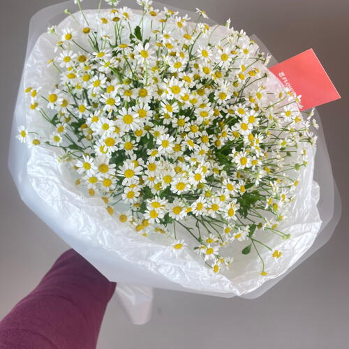 review-photo-before