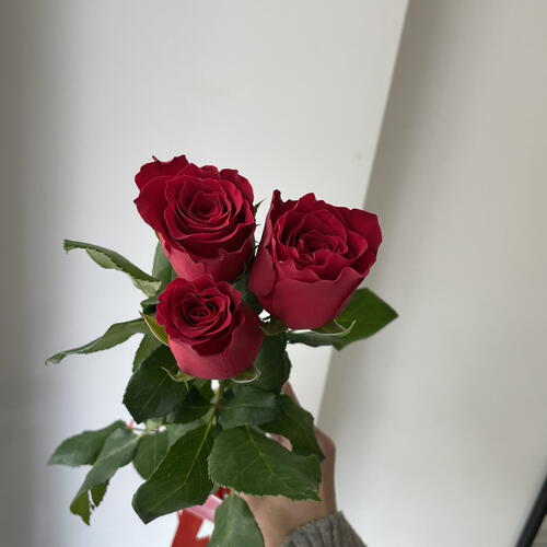 review-photo-before