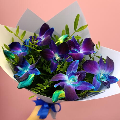 review-photo-before