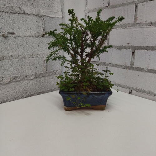 review-photo-before