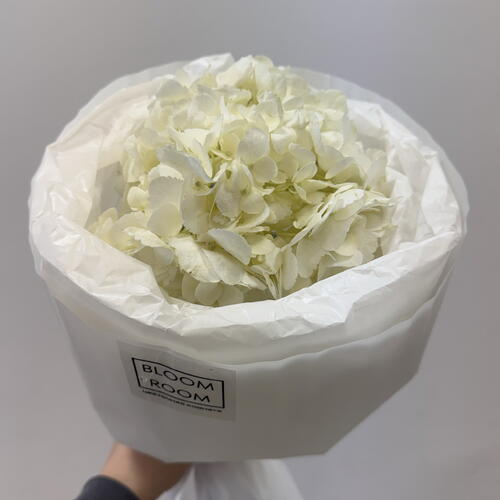 review-photo-before