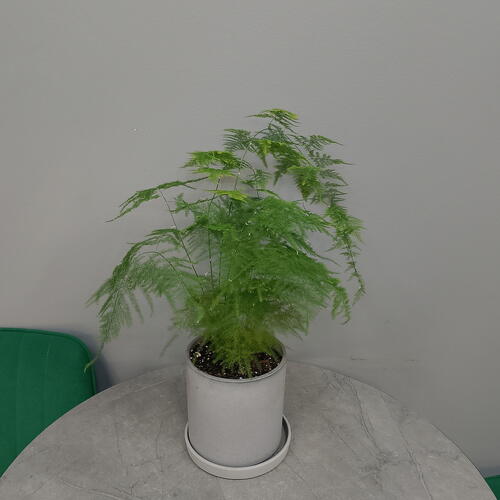 review-photo-before