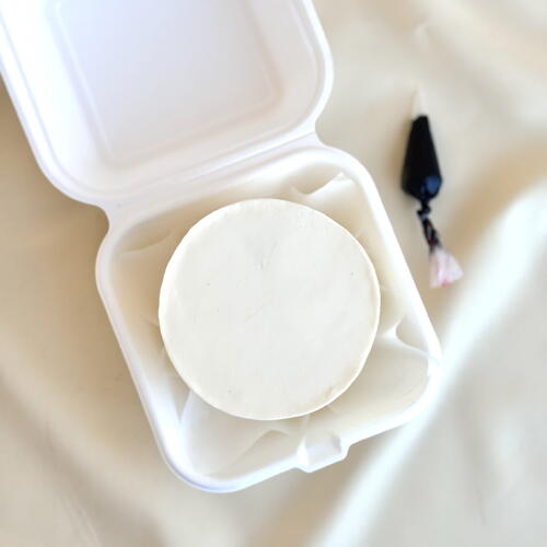 review-photo-before