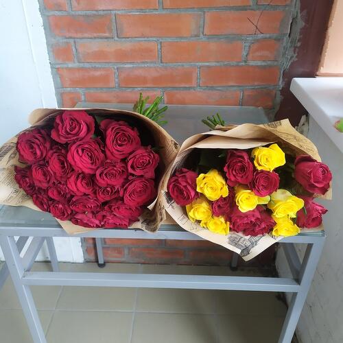 review-photo-before