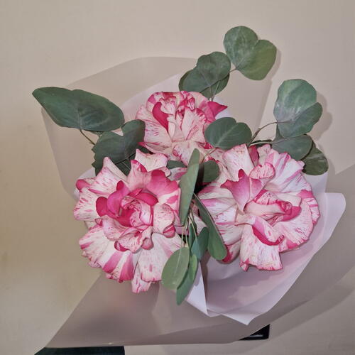 review-photo-before
