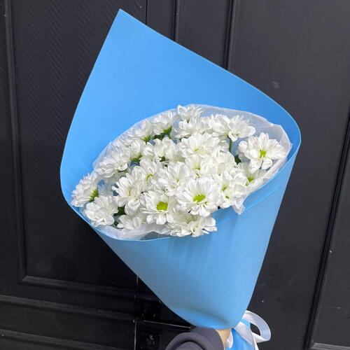 review-photo-before