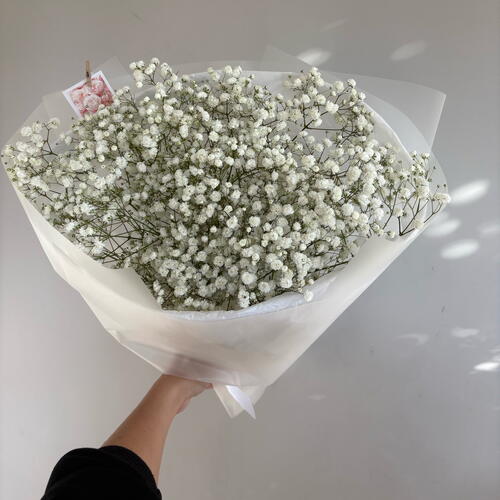 review-photo-before