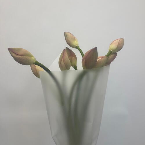 review-photo-before