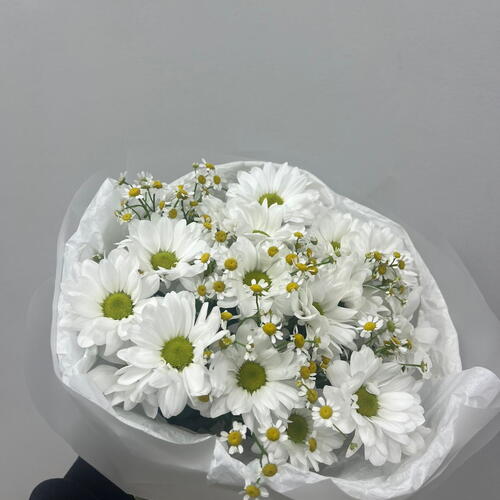 review-photo-before