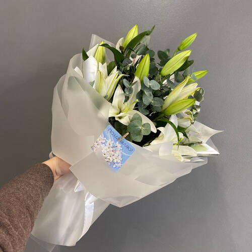 review-photo-before