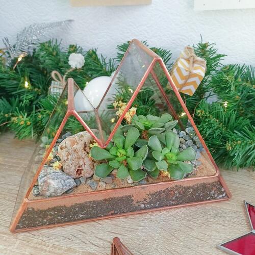 review-photo-before