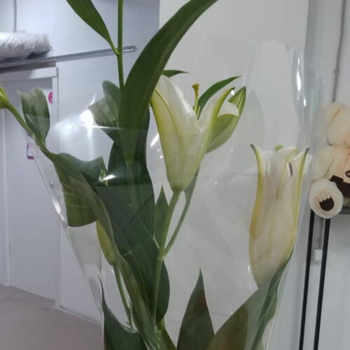 review-photo-before
