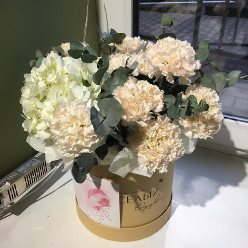 review-photo-before