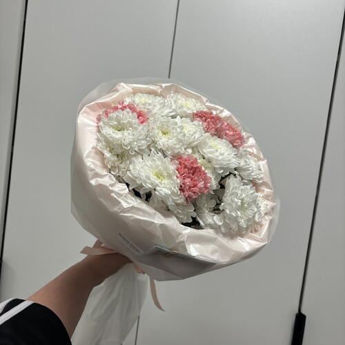 review-photo-before