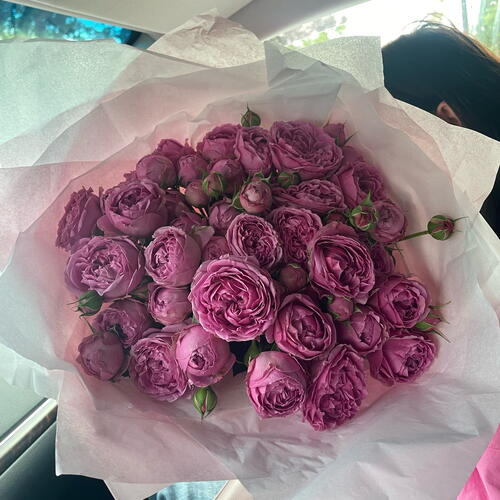 review-photo-before
