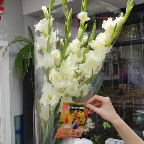 review-photo-before