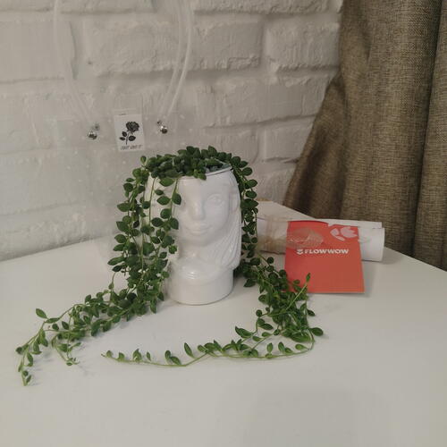 review-photo-before