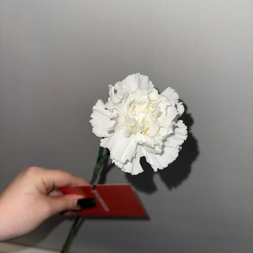 review-photo-before
