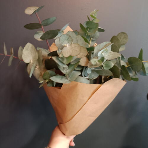 review-photo-before