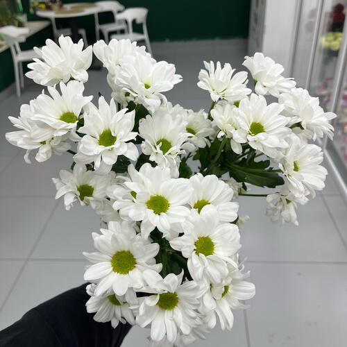 review-photo-before
