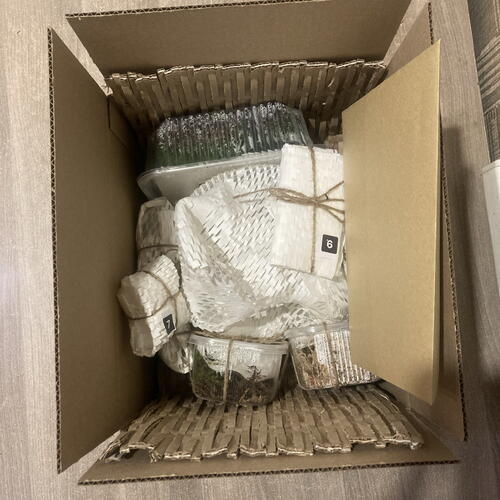 review-photo-before