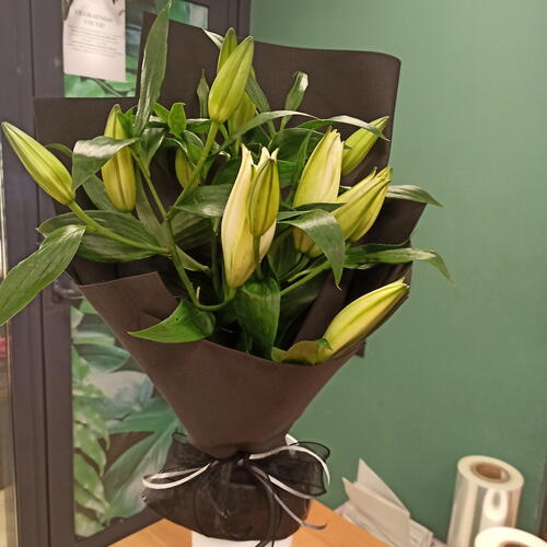 review-photo-before