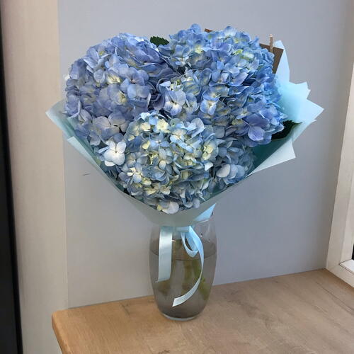 review-photo-before