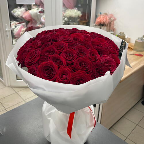 review-photo-before