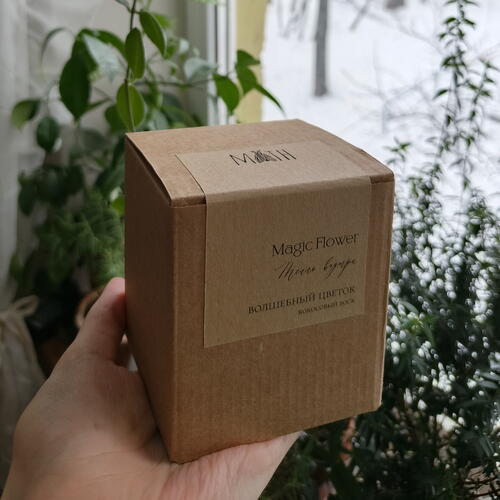 review-photo-before