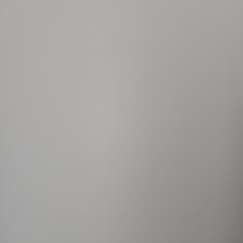review-photo-before