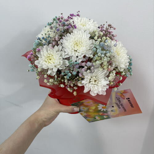 review-photo-before
